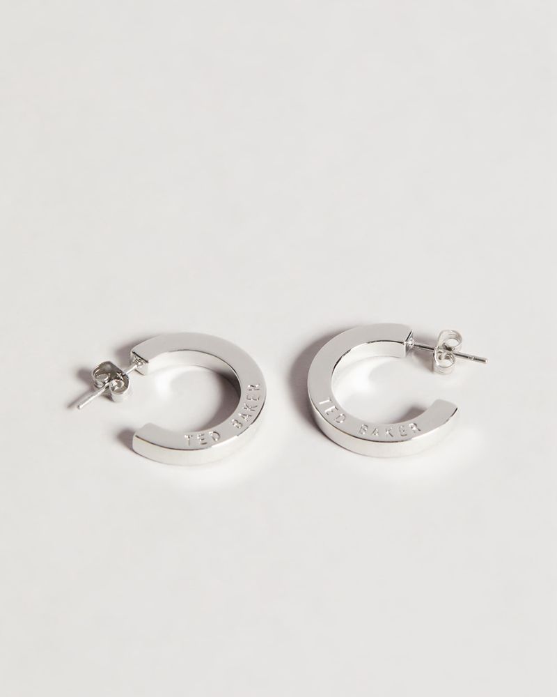 Ted Baker Senatta Crystal Hoop Earring Smycken Dam Silver | VPJ-047285