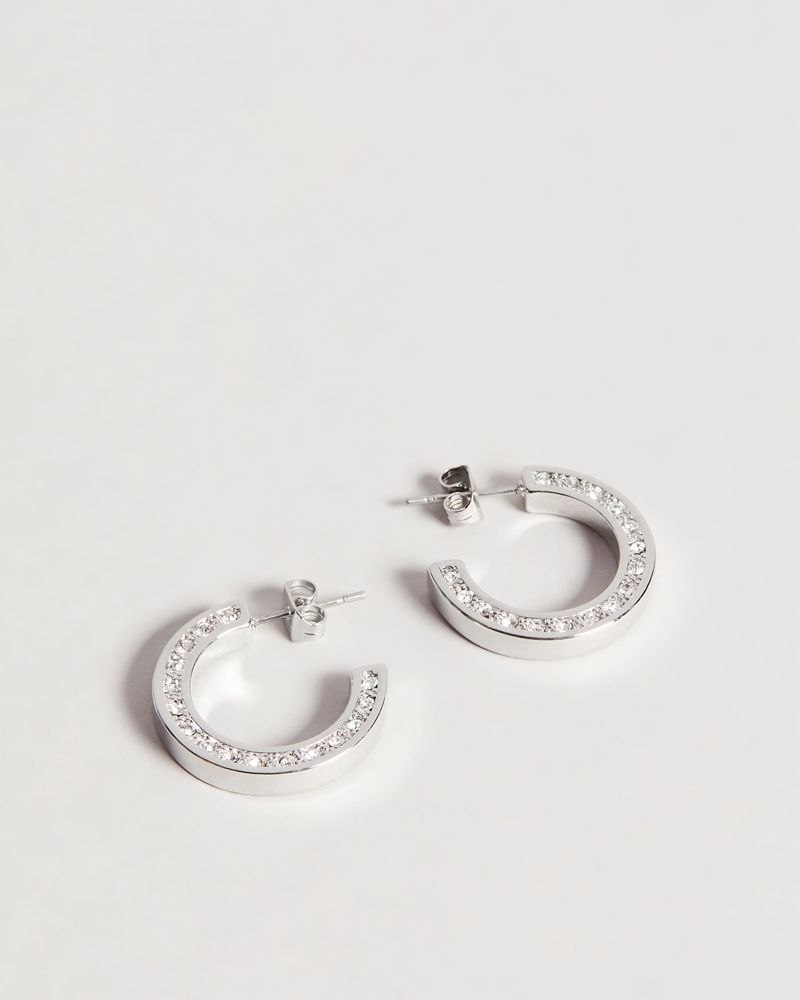 Ted Baker Senatta Crystal Hoop Earring Smycken Dam Silver | VPJ-047285