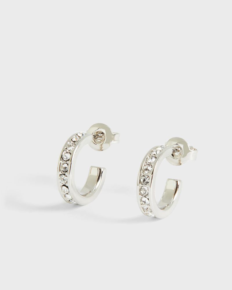 Ted Baker Seenita Tbj2767 Nano Hoop Huggie Earring Smycken Dam Silver | VMY-436975